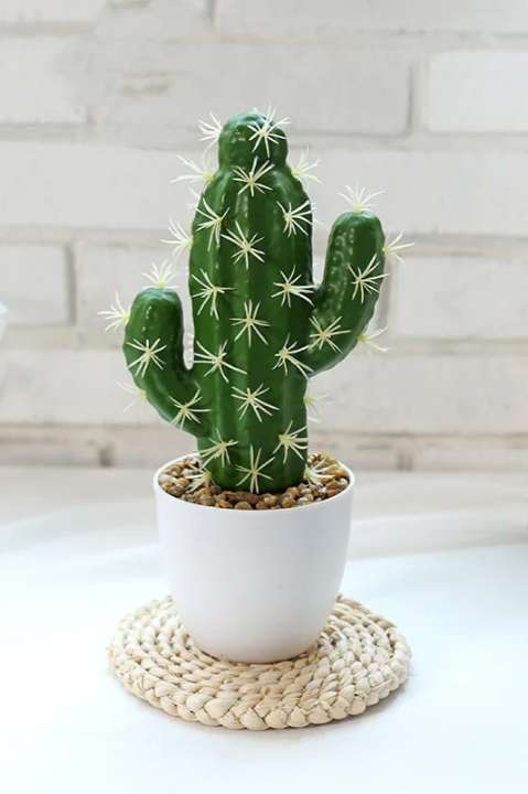 Pot de Cactus avec Plante Verte Artificielle – Décoration Naturelle et Sans Entretien